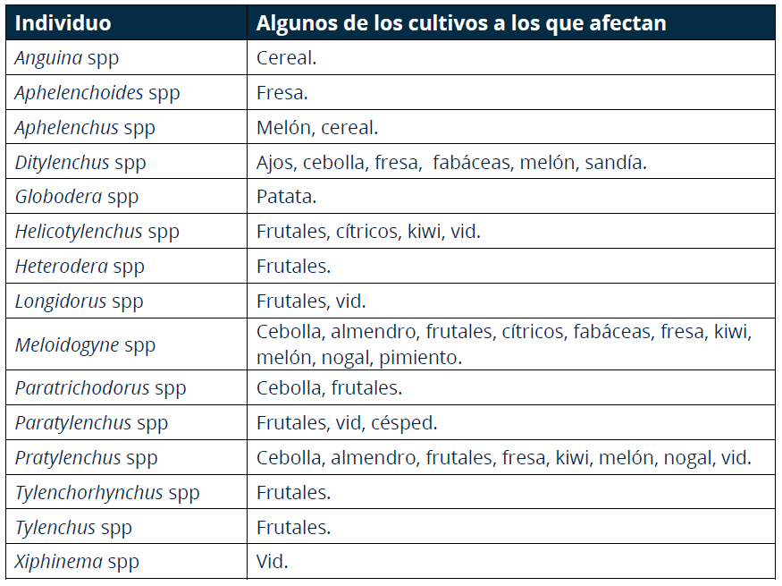 width: 100%;